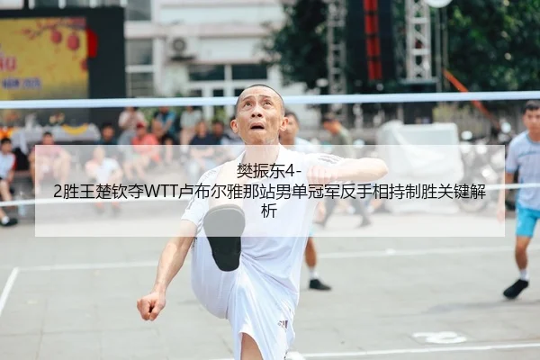 樊振东4-2胜王楚钦夺WTT卢布尔雅那站男单冠军反手相持制胜关键解析